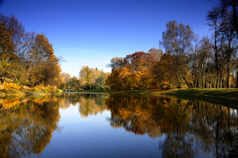 lake, Autumn, blue, leaf, park - Man Made Space, scenics, 4K, health, photo, clear  day, reflection, season, sky, landscape, tranquil Scene, yellow, outdoors