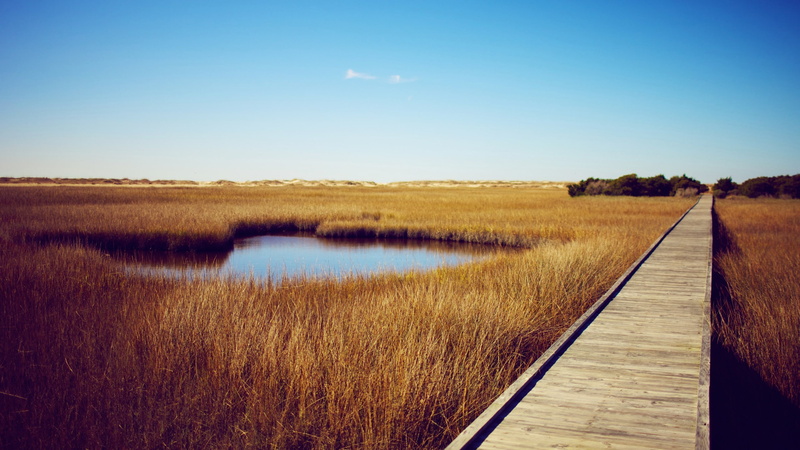 nature, pond, bridge, 2K