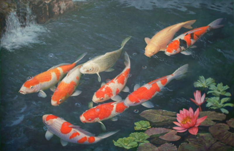 Fishes, Koi, 1080P