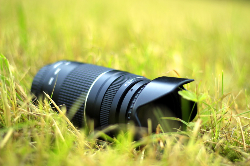photographic equipment, wildlife, lens - optical instrument, lens - eye, photography, digital camera, outdoors, telephoto lens, 5K, day, lens, dslr, photographer