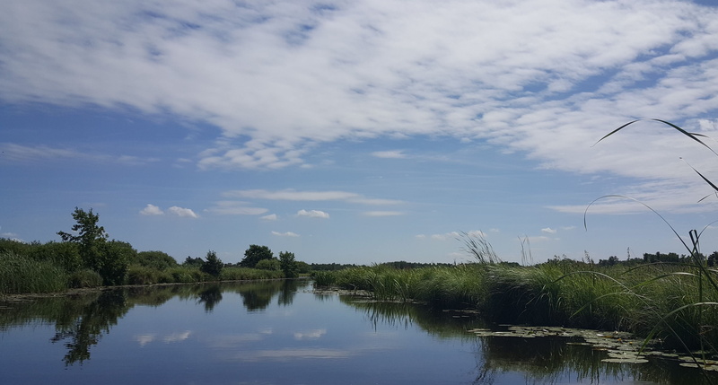 water, cloud - sky, no people, day, tranquil scene, tree, sky, tranquility, waterfront, outdoors, non-urban scene, giethoorn, growth, 4K, reflection lake