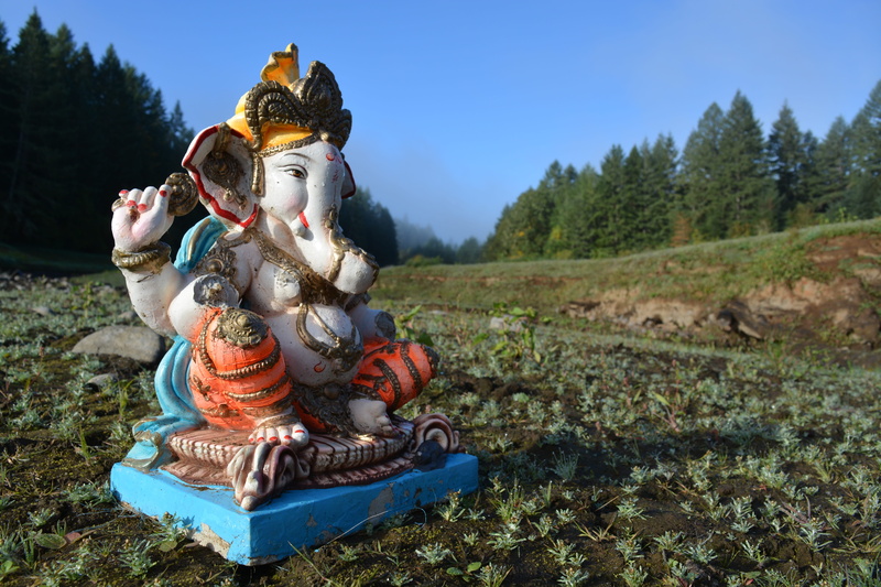 doll, closeup, Ganesh, human representation, land, lord, statue, photography, people, tree, children only, male likeness, grass, Oregon, plant, no people