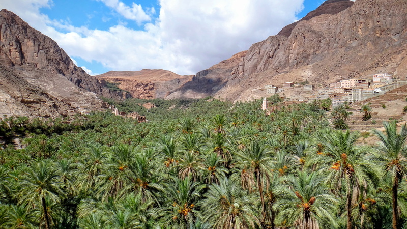 trees, environment, hillside, village, mountain, morocco, beauty in nature, land, palm, rock, cloud - sky, palm tree, succulent plant, tree, sky, arid climate