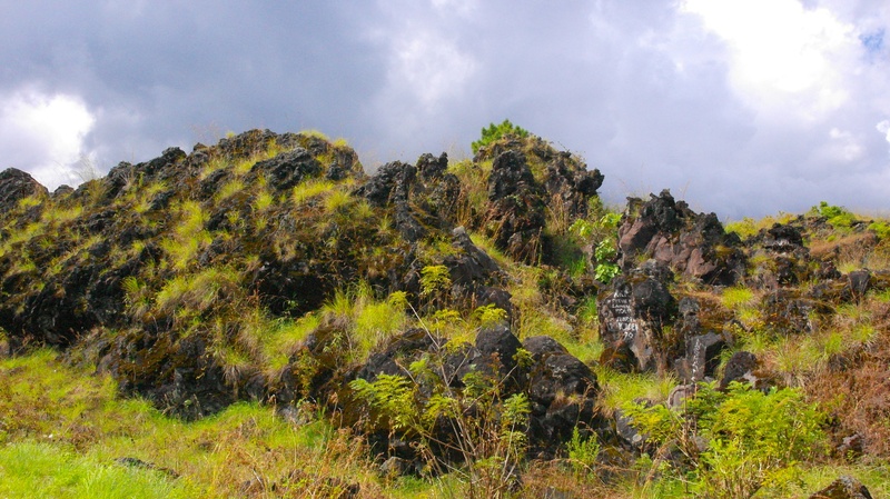 green color, hillside, tree, hills, plant, nature, scenery, blue, countryside, 2K, rocky, greenery, indonesia, grass, environment, rocks, hilly, mountain