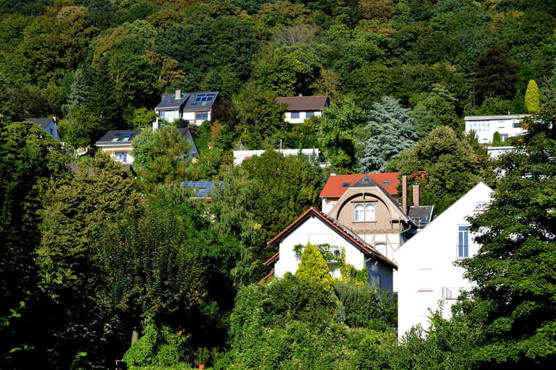 house, nature, 5K, building exterior, building, green color, Live, facades, growth, outdoors, lush foliage, city, plant, hillside location, residential district