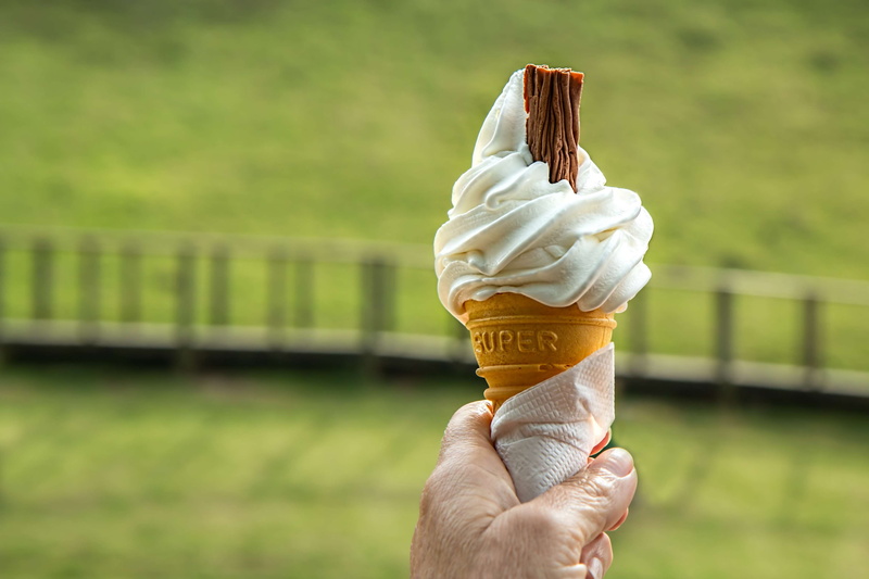 human body part, icecream, joy, enjoyment, outdoors, holding, indulgence, cone, lawn, ice cream, one person, sweet, ice cream cone, day, summer, sweet food
