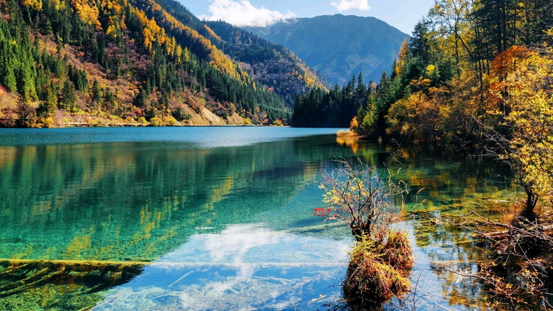 turquoise colored, 1080P, wilderness, min shan mountain range, no people, beauty in nature, autumn, plant, tranquil scene, lake, mountain lake, tree, crystal clear