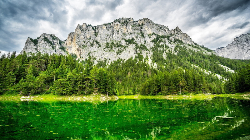 no people, sky, europe, mountain range, gruner see, fir tree, woodland, green lake, tree, outdoors, pine tree, mountain, cloud - sky, beauty in nature