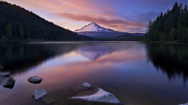 tarn, cloud - sky, pink clouds, mount hood national forest, mountain peak, peaceful lake, non-urban scene, forest, scenics - nature, trillium lake, dawn