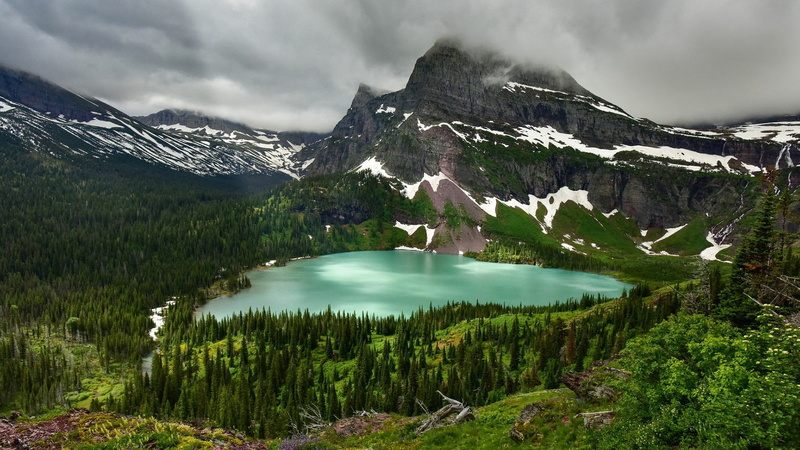 turquoise colored, scenics - nature, tranquility, mountain lake, forest, tree, pine woodland, reflection, outdoors, hill station, no people, landscape