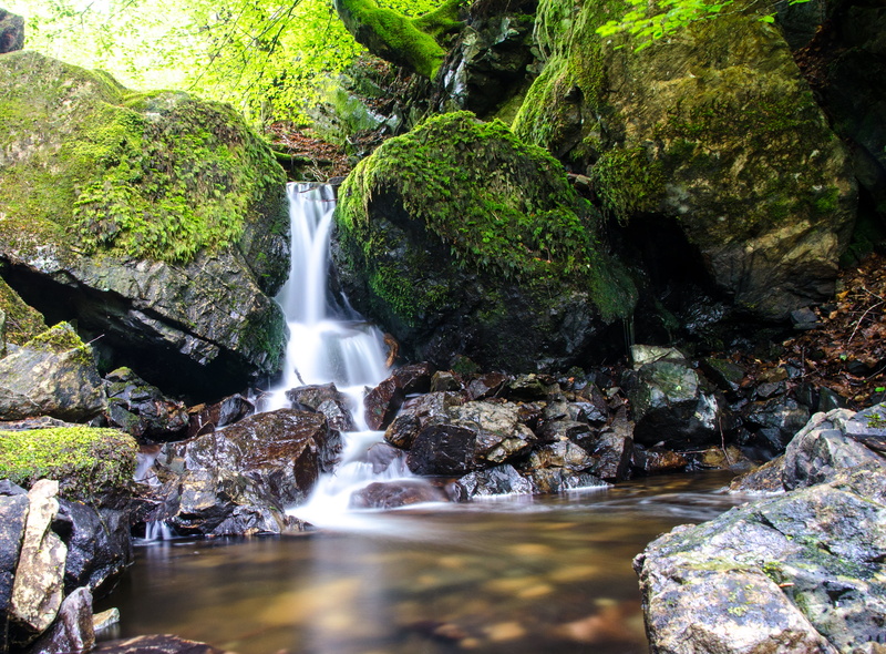 tree, tarn, landscape, freshness, Tarn Hows, water, Holiday, UK, moss, nature, rocks, England, cascading, rock - Object, river, 2K, forest, Britain, Waterfall