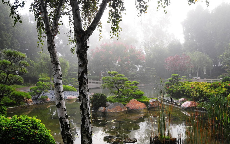 garden, trees, birch, california, japanese, 1080P, miller, usa, pond, earl, lakes, photos, burns