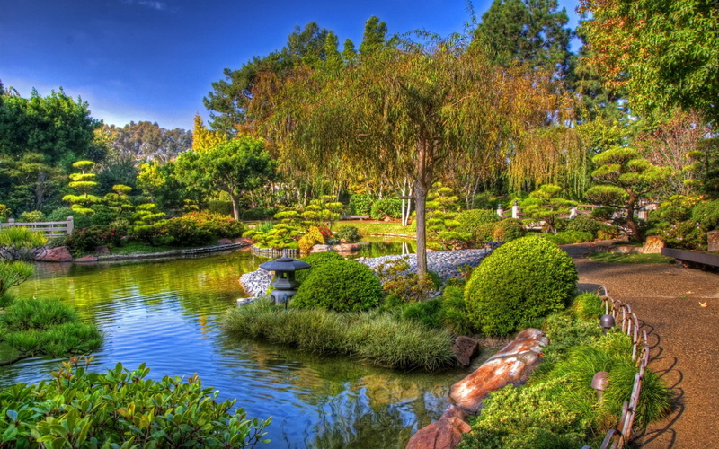 flower beds, shrubs, burns, paths, trees, California, USA, Earl Burns Miller Japanese, japanese, miller, 720P, earl, garden, pond
