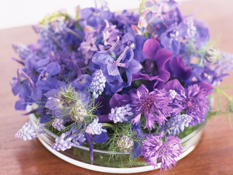 muscari, cornflowers, close-up, composition, nature, botany, lavender, backgrounds, selective focus, purple, scented, beauty In Nature, wood - Material