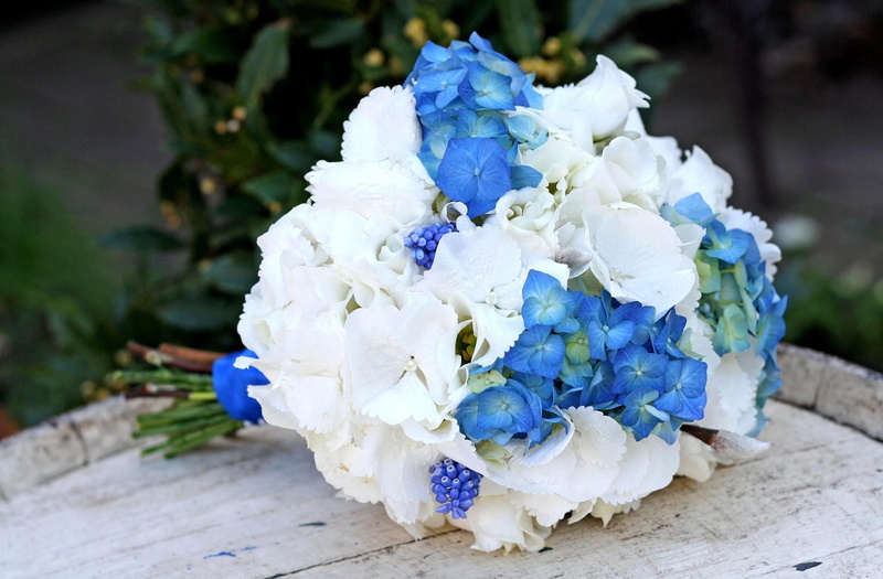 freshness, plant, love, flower arrangement, focus on foreground, flowering plant, purple, white, married, blossom, vulnerability, no people, 1080P, hydrangea
