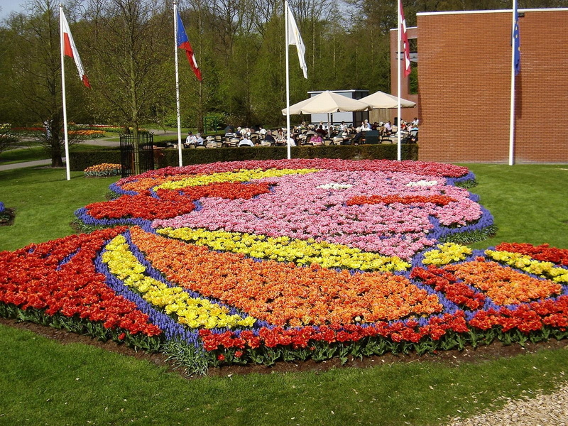 bed, food, 720P, in a row, park, red, no People, tulips, day, market, flowerbed, cafe, flower Head, garden, leisure, growth, freshness, flowers, springtime