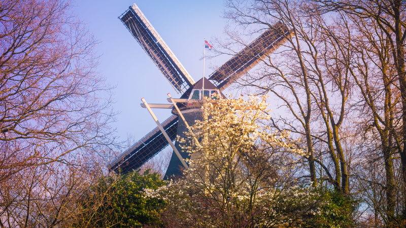 windmill, outdoors, keukenhof gardens, renewable energy, change, building exterior, wind power, keukenhof, tree, fuel and power generation, bare tree, branch