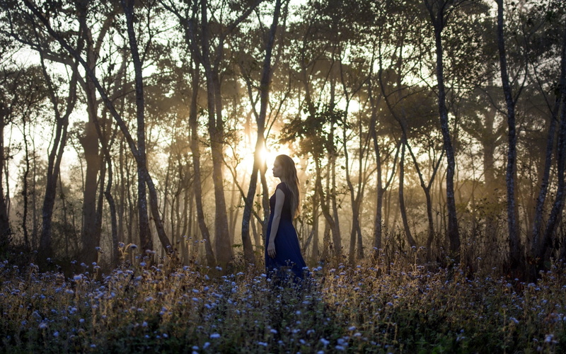 2K, Trees, Forest, Sunrise, Morning, Flowers, Girl