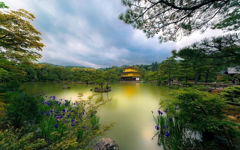 Pavilion, Flowers, 1080P, Lake, Golden, Kyoto, Trees, Japan, Park, Temple
