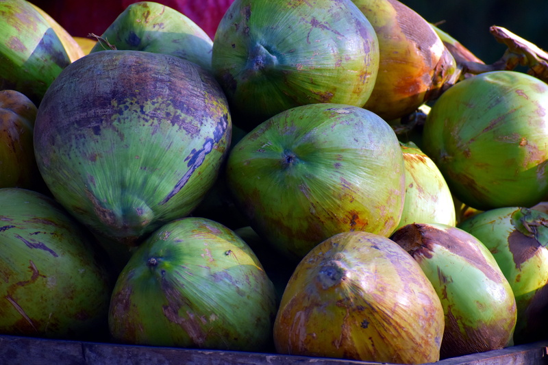no people, wellbeing, papaya, abundance, healthy eating, ripe, green color, 5K, market stall, food, drupe, mango fruit, cocos nucifera, day, fruit, market