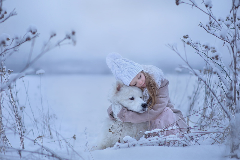 friends, hugs, girl, dog, Samoyed, mood, friendship, 1080P, winter