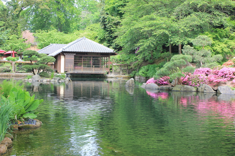 teepavilion, built structure, lake, park, 5K, pavilion, Japanese, tree, carp, Kaiserslautern, outdoors, flower, architecture, green color, spring, no people