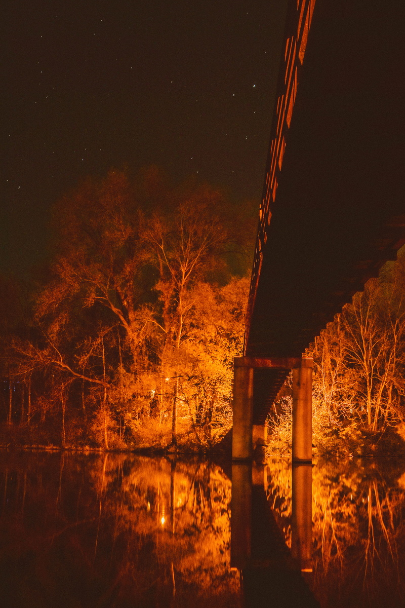 tree, mood, nature, land, bare tree, wisconsin, lake, relax, long-exposure, plymouth, light, transportation, bridge - man made structure, 5K, plant, illuminated