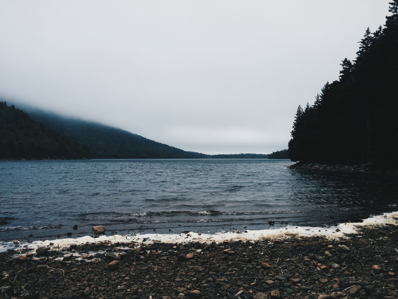 lake, tranquility, beach, beauty in nature, water, tree, plant, no people, 4K, nature, land, maine, tranquil scene, united states, jordans pond shore