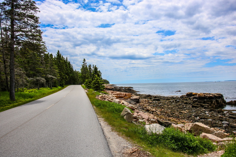 beach, direction, tree, acadia national park, ocean, new england, maine, cloud - sky, trees, tranquility, outdoors, tranquil scene, diminishing perspective