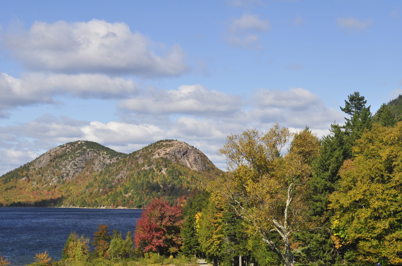 idyllic, change, beauty in nature, mountain, tree, nature, tranquil scene, water, non-urban scene, 4K, day, no people, plant, autumn, acadia national park