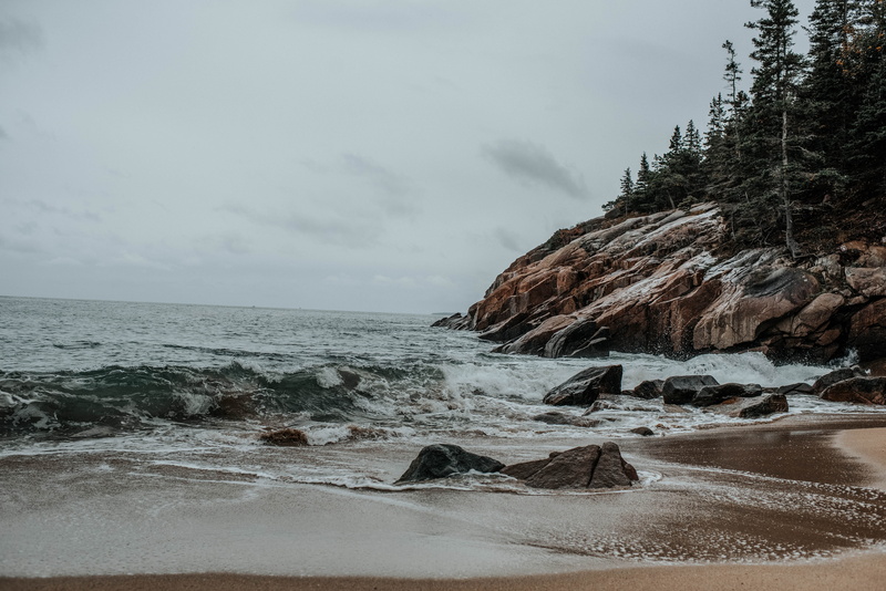 shoreline, wafe, horizon, cliff, atlantic, tranquil scene, fog, day, vsco, bar harbor, alpine, tone, ocean, beach, cloudy, gray, acadia national park, pine
