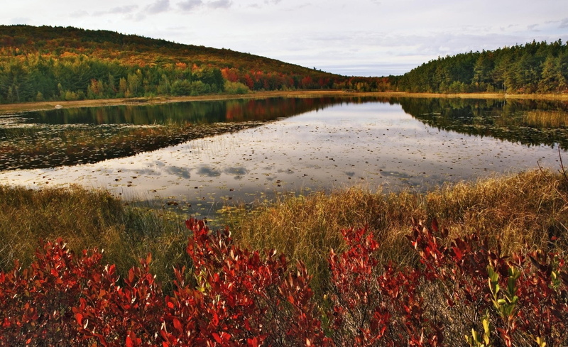 beauty in nature, pond, Breakneck, acadia national park, scenics - nature, breakneck pond, breakneck pond, outdoors, Acadia, acadia national park, day