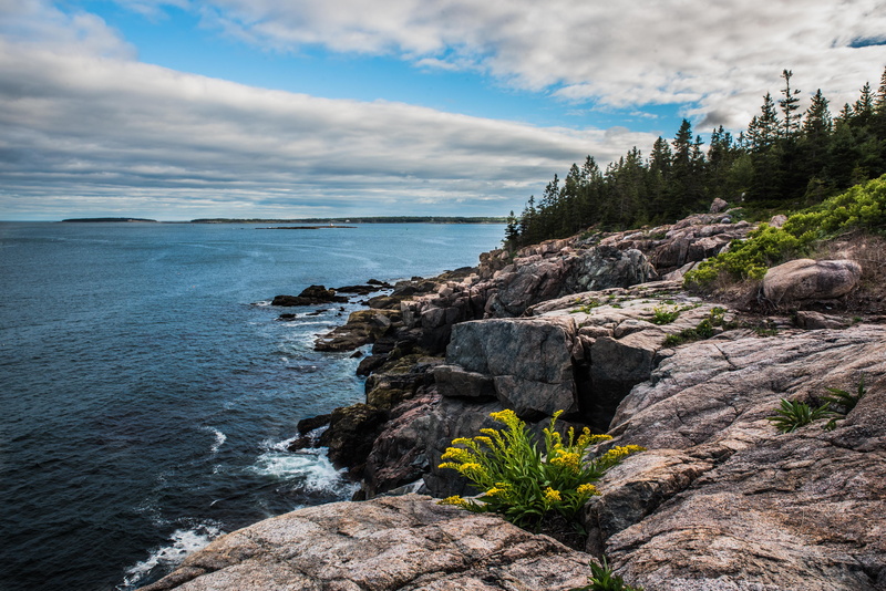 beauty in nature, no people, national park, non-urban scene, 5K, trees, beach, cloud - sky, outdoors, rocky coastline, day, scenics - nature, eroded, tranquil scene