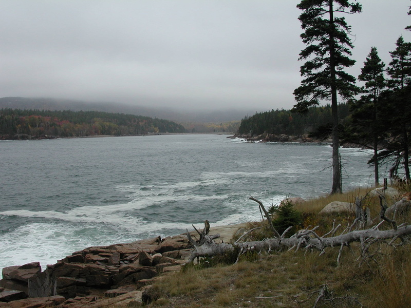 scenics, pine trees, sky, tree, no people, water, 1080P, tranquil scene, ocean, land, Acadia National Park, sea, beauty in nature, tranquility, inlet