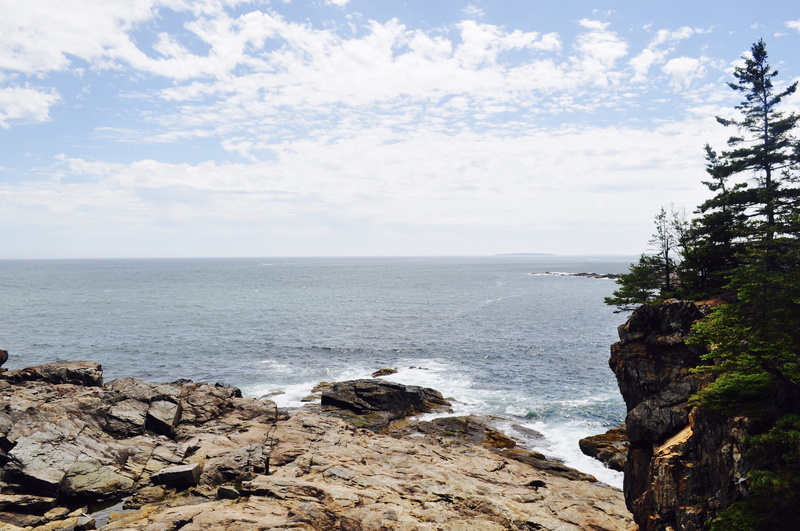 4K, beach, rocky, downeast, cliff, scenics - nature, rock, pine, united states, sky, outdoors, nature, maine, great head trail (acadia national park)