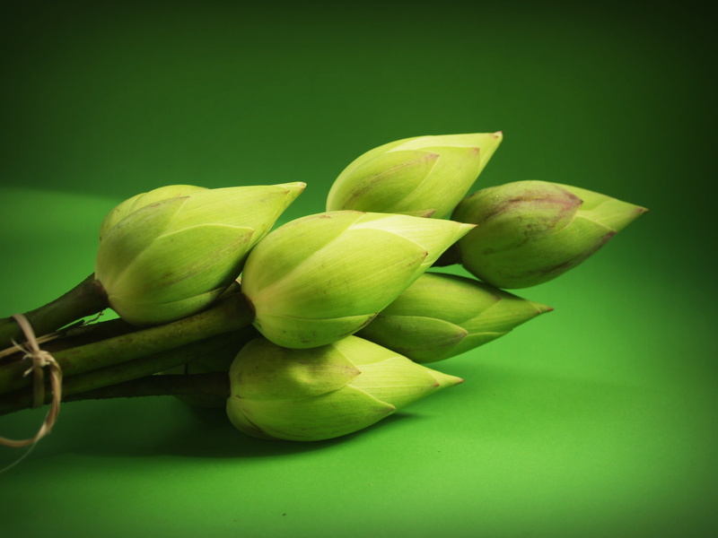 relax, fresh, indoors, waterlily, tradition, food and drink, food, background, lake, wellbeing, close-up, style, group of objects, vegetable, design, focus