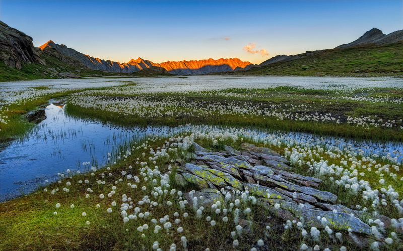 swissalps, desktop, ultra, freshwater, tessin, laptop, 4K, kanton, landscape, tv, mobile, phones, fluffygrass, tablet, k, marsh, hd