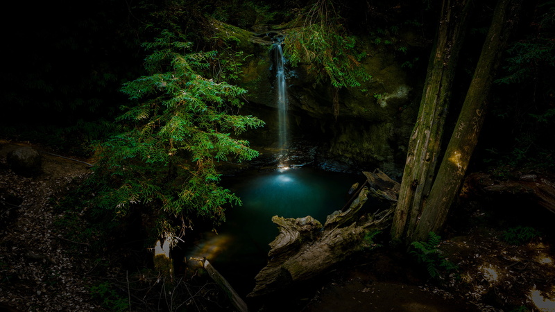 Waterfalls, Green, Waterfall, Dark, Forest, Earth, Tree, 2K