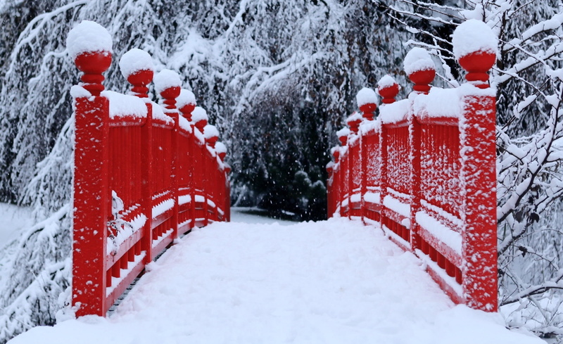 cold temperature, beauty in nature, no people, outdoors, plant, extreme weather, covering, Snow, Bridge, White, nature, Seasons, Japanese, foot, 1080P