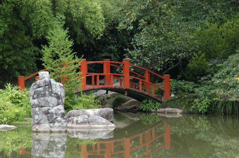 1080P, foot, trees, japanese, bridge, japanese bridge, pond, rocks, red, animals, tranquil garden, wooden