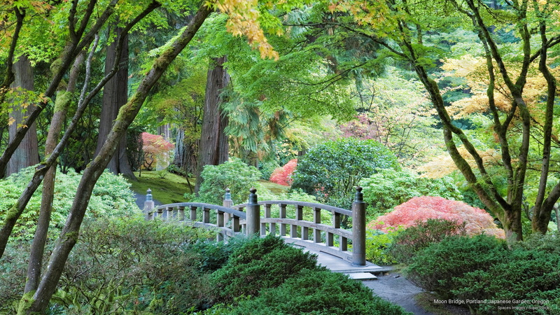 japanese, garden, moon, Flowers/Gardens, oregon, bridge, 2K, portland