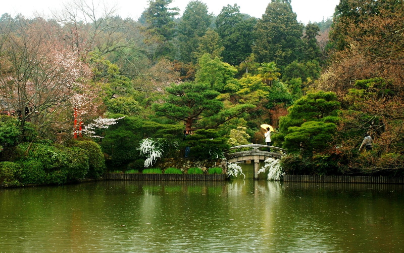 beauty In Nature, bow Bridge, day, travel, cultures, central Park, park - Man Made Space, china - East Asia, famous Place, kyoto City, plant, tree, tranquil Scene