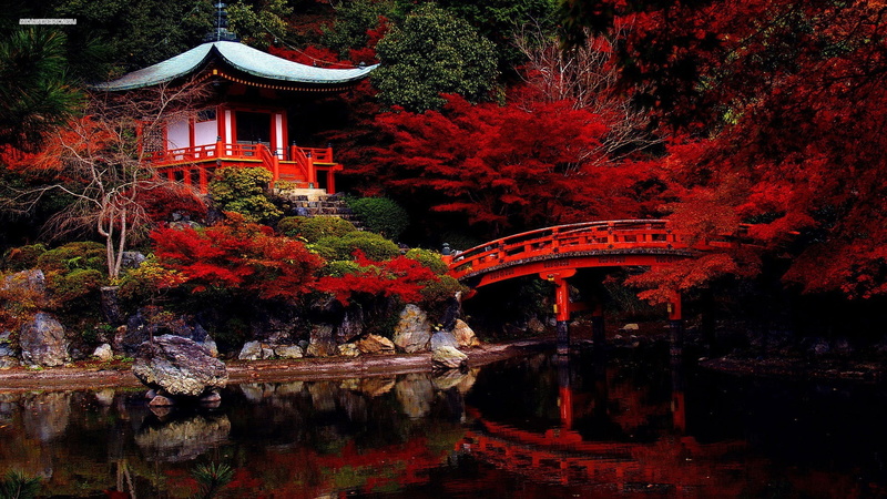 bridge, architecture, waterfront, no people, water, plant, japanese garden, change, nature, lake, place of worship, bridge - man made structure, autumn