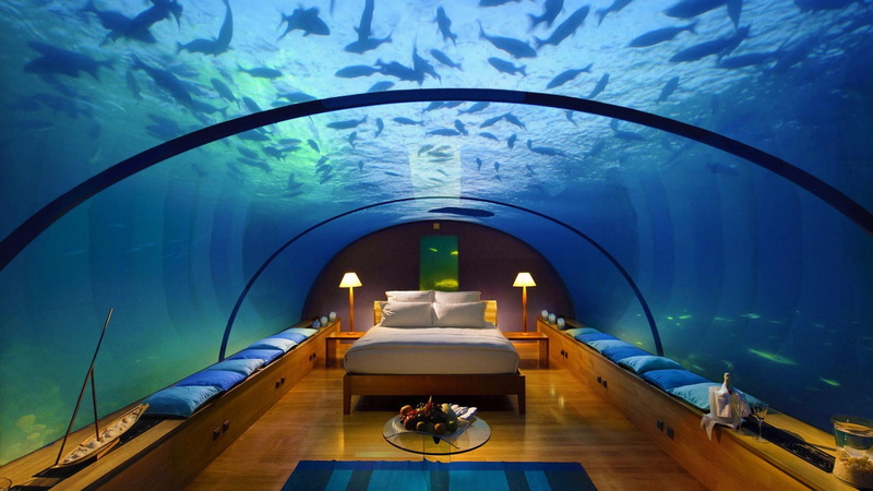 sleeping with the fishes, sleep, sleeping, 1080P, bed, sharks, hd, hotel, underwater, aquarium, fishes, water