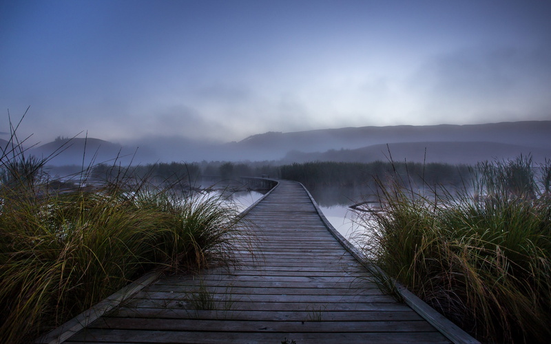 mist, land, shrubs, morning, scenics - nature, tranquility, mountains, wood paneling, plant, nature, sky, grass, cloud - sky, the way forward, beauty in nature