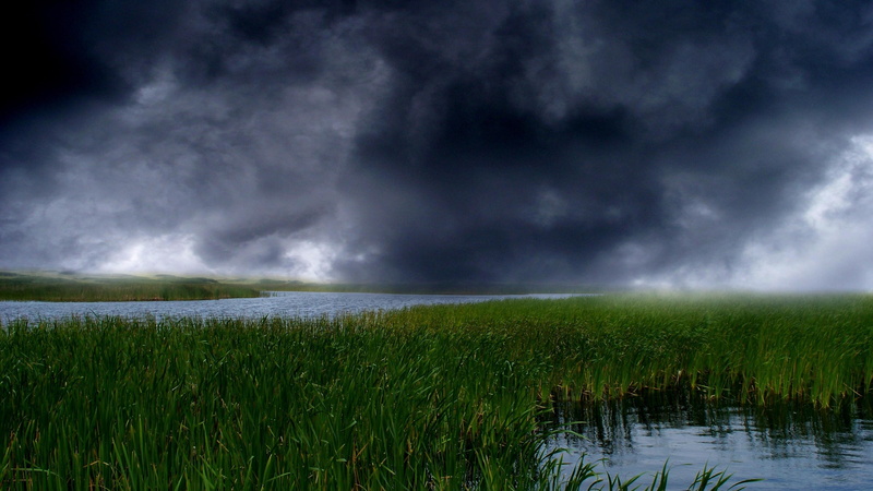 rain, sky, no people, environment, beauty in nature, dark, power in nature, grass, storm, scenics - nature, extreme weather, outdoors, torrential rain