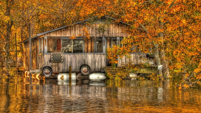 wetland, float, bayou, wet, river, leaf, plant, leaves, plant part, 1080P, louisiana, waterfront, architecture, built structure, reflection, rain, ouachita river