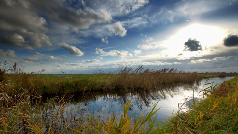 backgrounds, marsh, swamp, scenics - nature, water, tranquil Scene, plant, cloudscape, no People, landscape, lake, day, dusk, idyllic, green, green Color