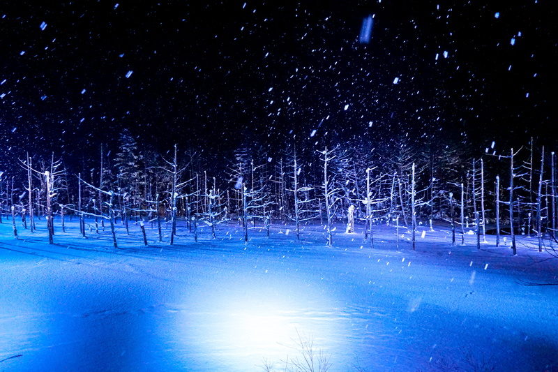 snow, japan, cold temperature, winter, environment, hokkaido, snowing, illuminated, biei, 5K, white color, plant, bluepond, tranquil scene, covering, night