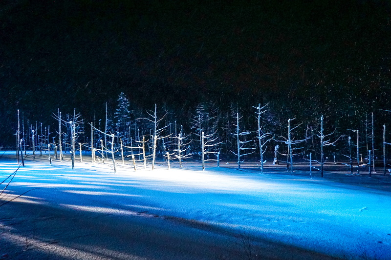 japan, snow, road, land, blue pond, city, night, nature, long exposure, plant, beauty in nature, illuminated, winter, no people, lake, hokkaido, biei, tree